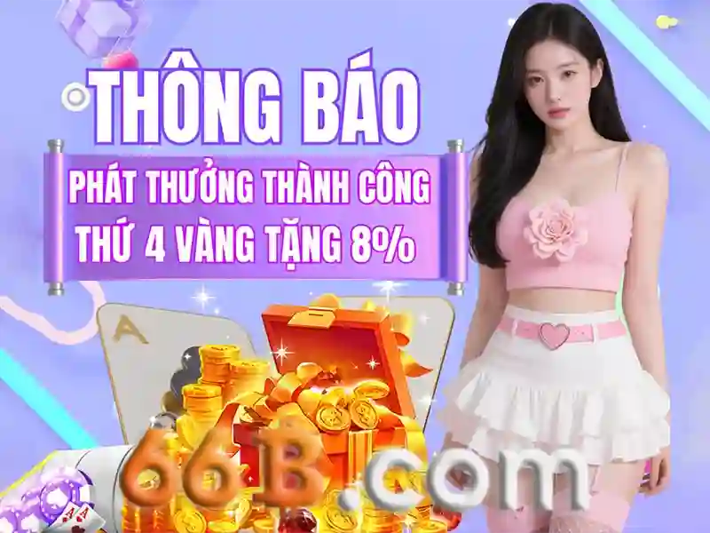 dịch vụ 66B - 66B