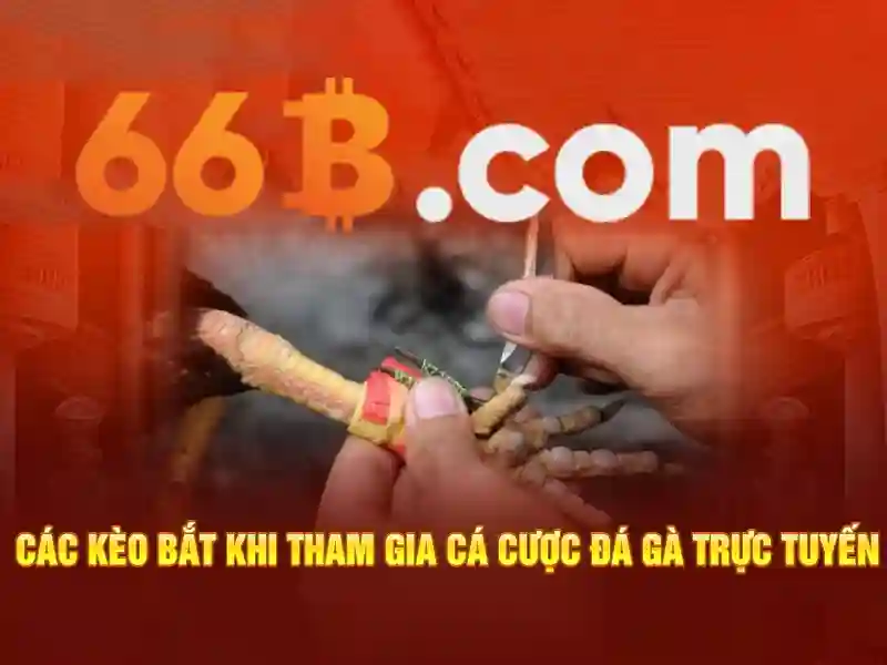 Trang Chủ 66B – Trải Nghiệm Slot Đỉnh Cao Với Tỷ Lệ Thắng Cao 2026 - 66B