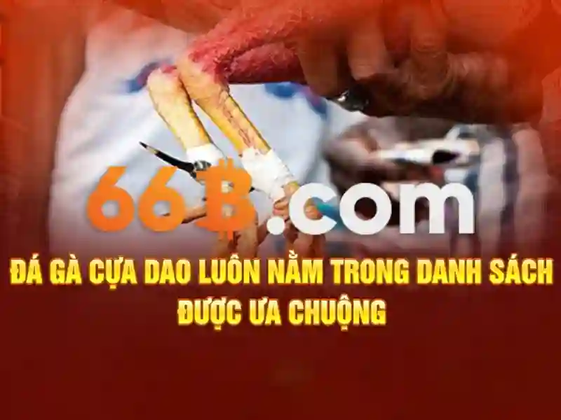 tiến lên 66b - 66B