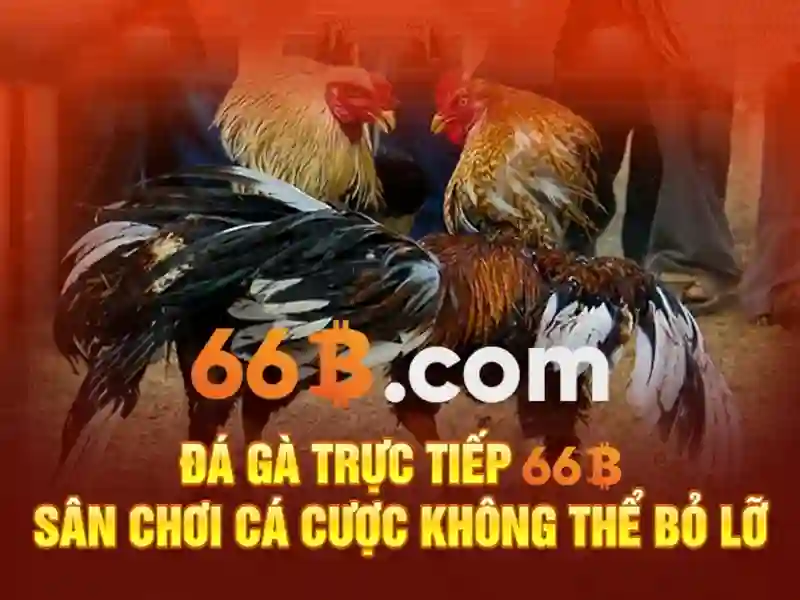 66b - Nền tảng cá cược trực tuyến hàng đầu cho người chơi Việt