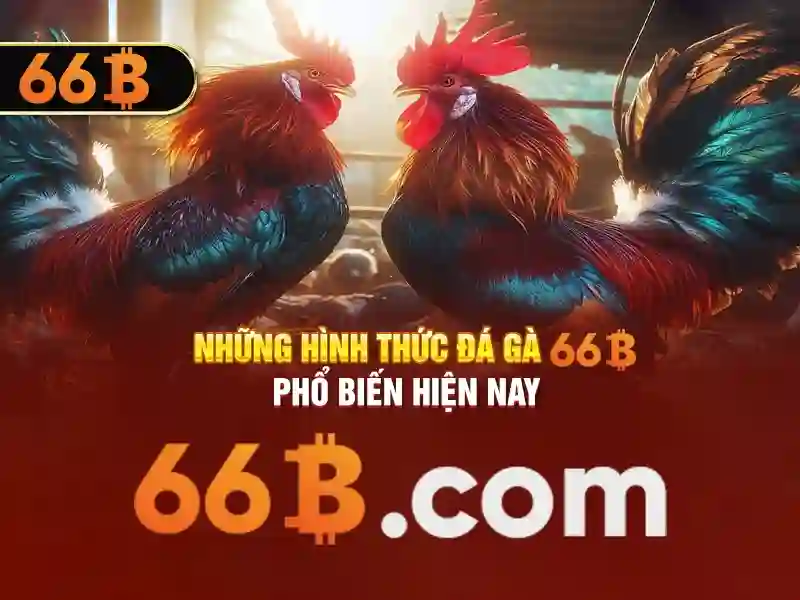 tải app 66b - 66B
