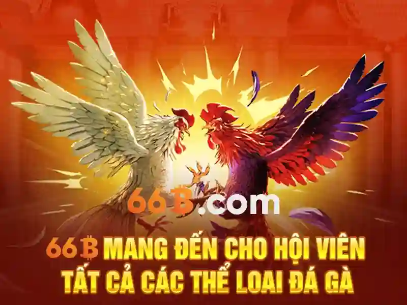bắn cá trực tuyến - 66B