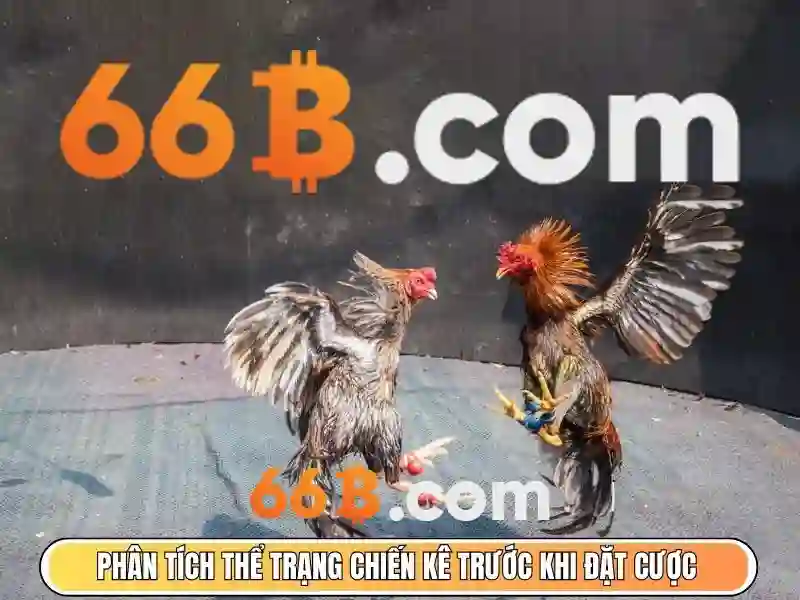 Cộng Đồng 66B - 66B