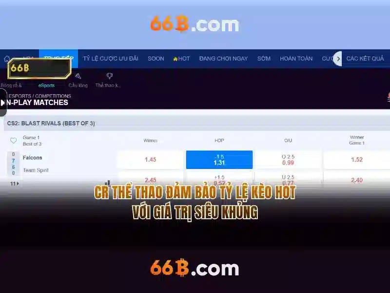 hỗ trợ khách hàng - 66B