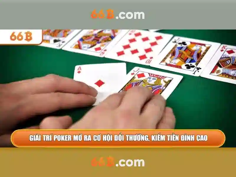 quản lý dữ liệu - 66B