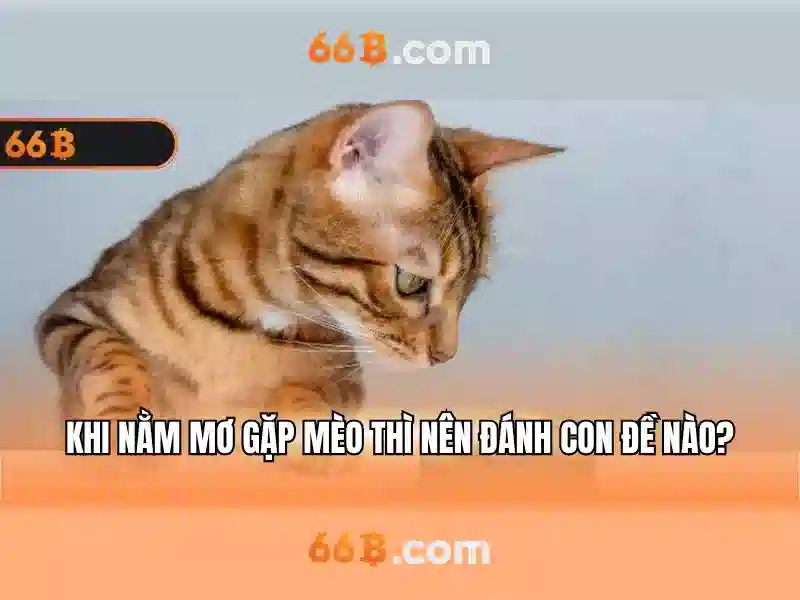  trang web - 66B