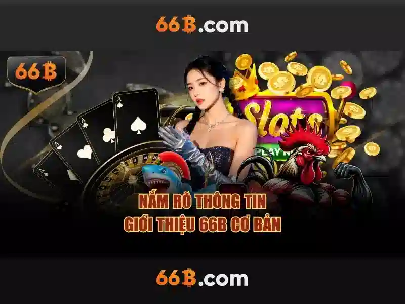 bảo mật 66b - 66B