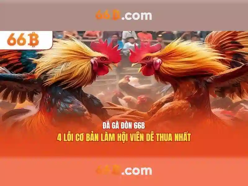  66Bmarkets - 66B
