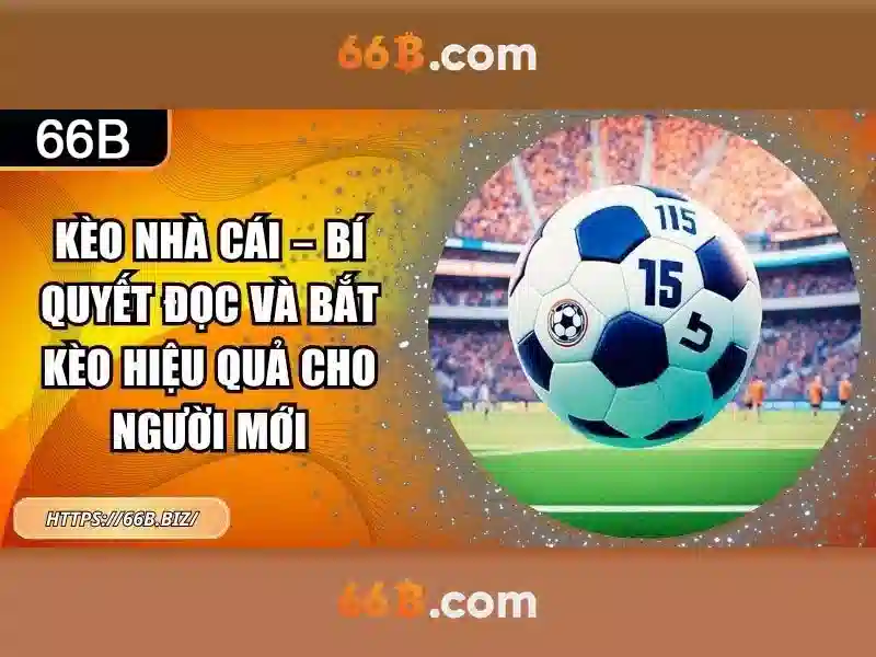 trải nghiệm - 66B