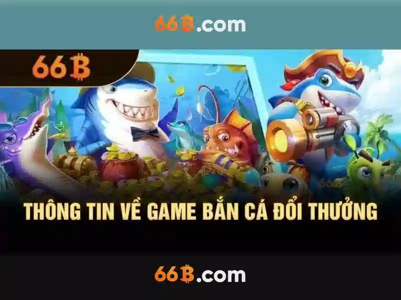 66B 2026 - 66B