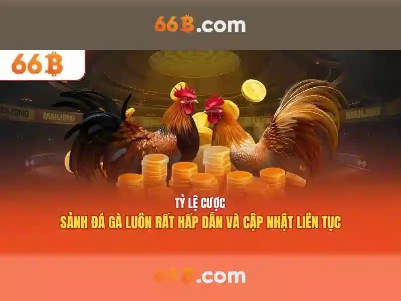 lô đề 66b - 66B