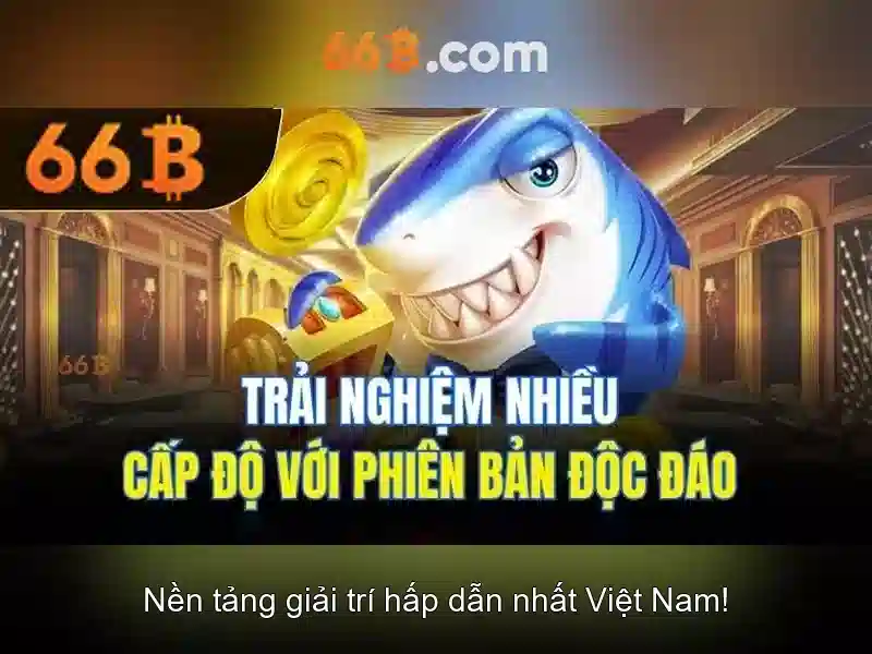 cờ caro 66b 2026 - 66B