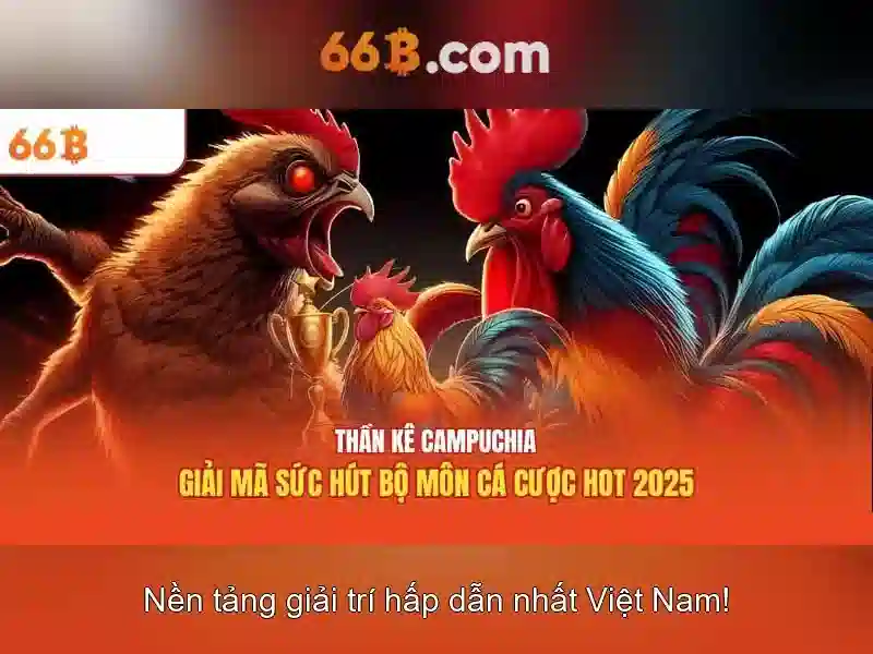  66b login - 66B