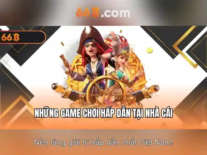  điều khoản điều kiện 66B - 66B