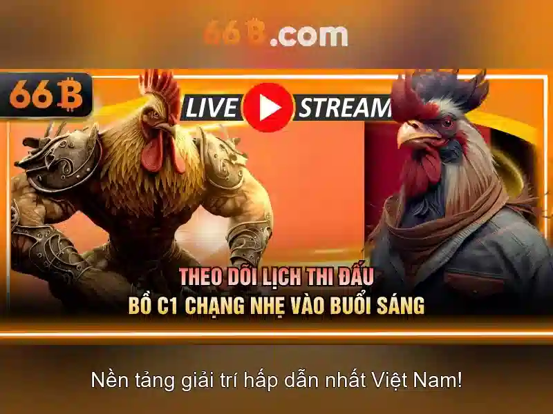 rút thưởng 66b - 66B