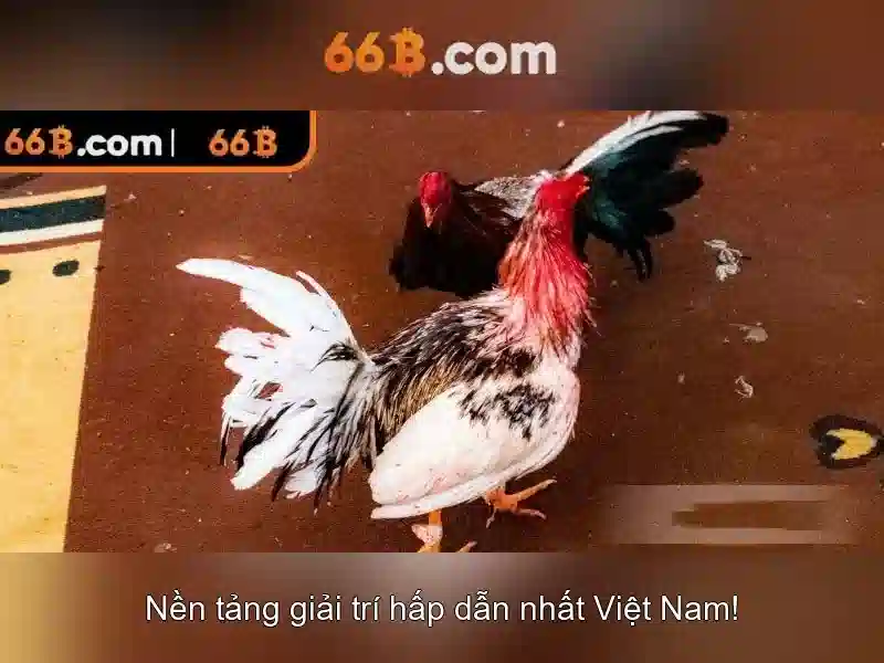 66B – Trang Chủ 66B, Trải Nghiệm Slot Đỉnh Cao 2026 - 66B