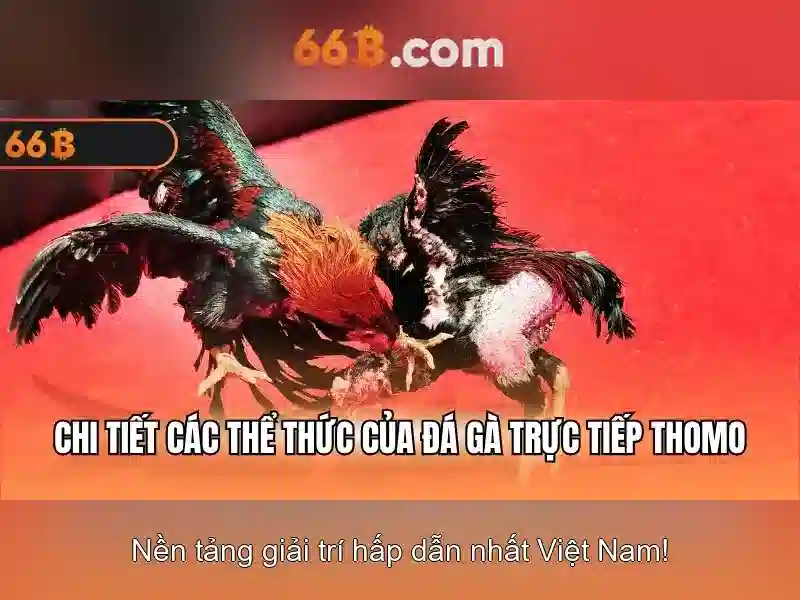 game SLOT - 66B