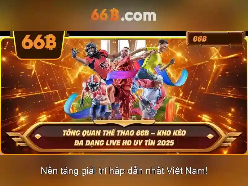  đánh giá 66b - 66B