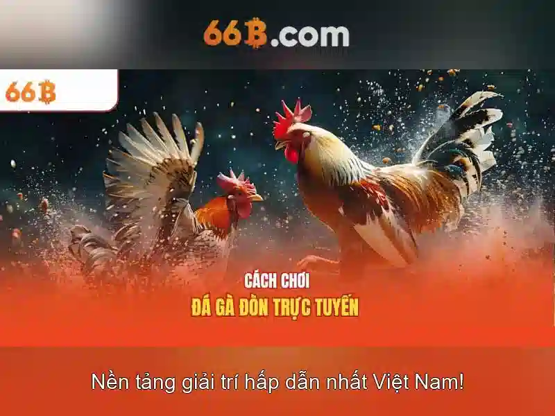 hỗ trợ 66b - 66B