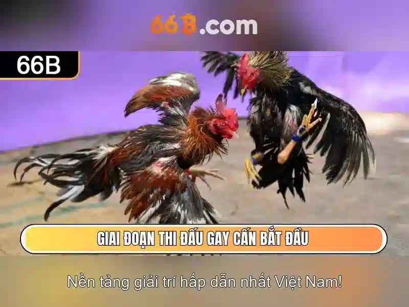 66b - Nền tảng cá cược trực tuyến hàng đầu cho người chơi Việt