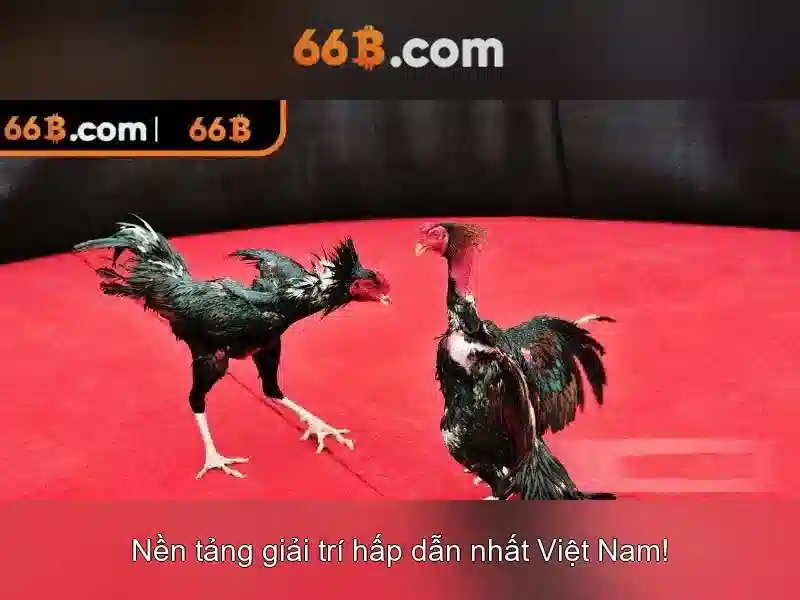  chương trình nhận thưởng - 66B