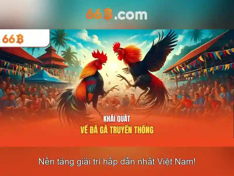 66b chính thức - 66B