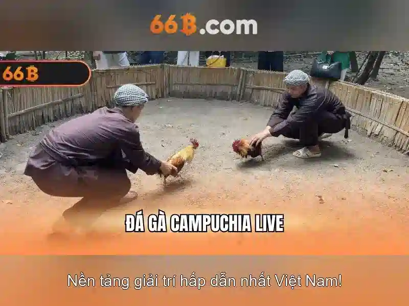  apk 66B - 66B