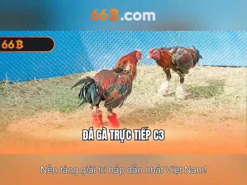  cờ caro 66b - 66B