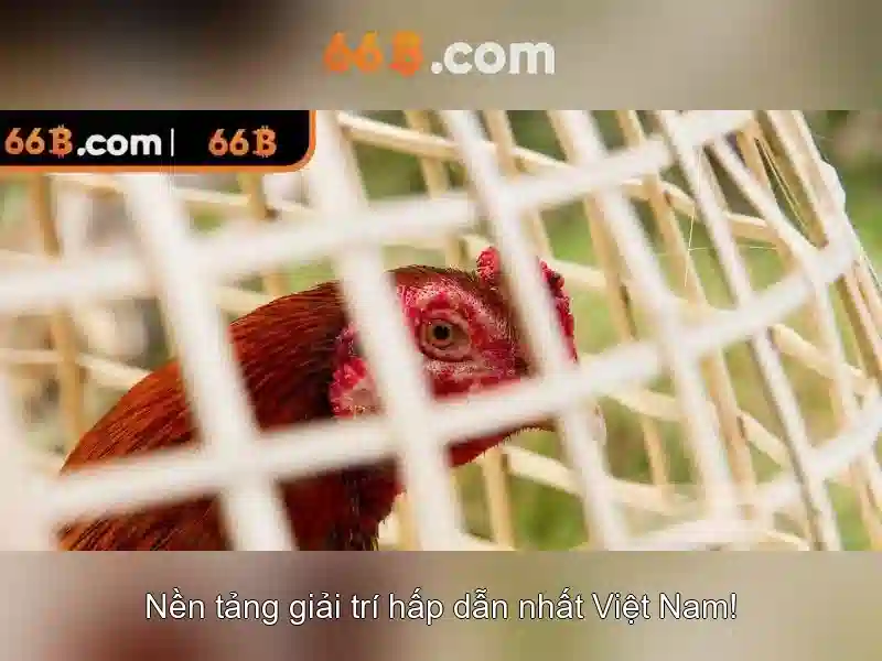 Tài Khoản 66B - Sảnh Slot 66B Đang Kích Cầu Tối Đa - 66B