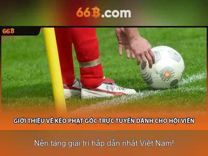  hỗ trợ - 66B