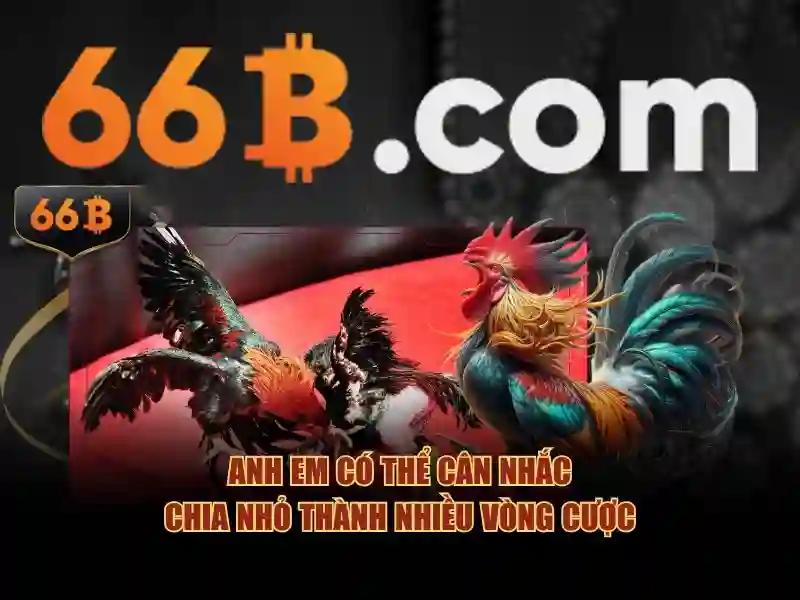quà tặng tiền - 66B