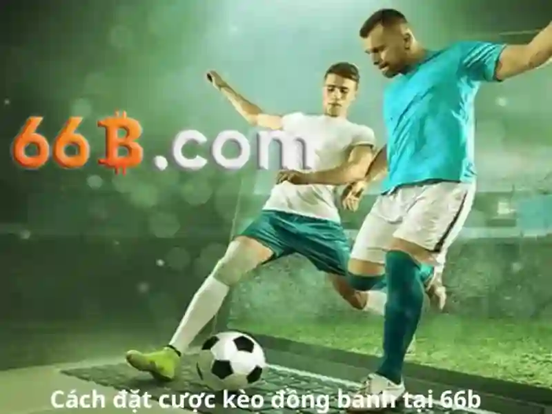 Mậu Binh 66B - 66B
