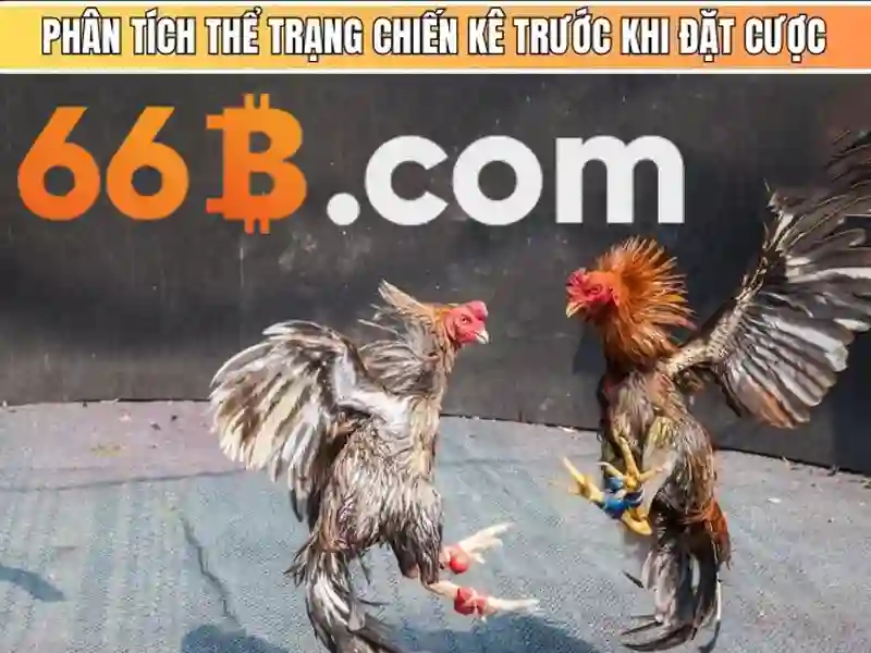 nổ hũ 66b - 66B