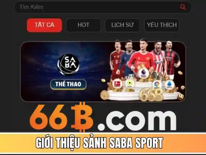 quản lý tài khoản Slot - 66B