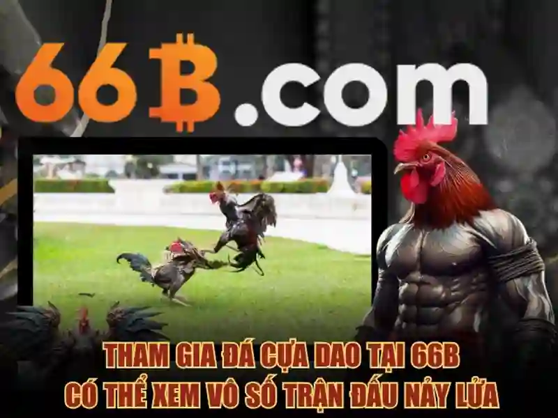66b - Nền tảng cá cược trực tuyến hàng đầu cho người chơi Việt