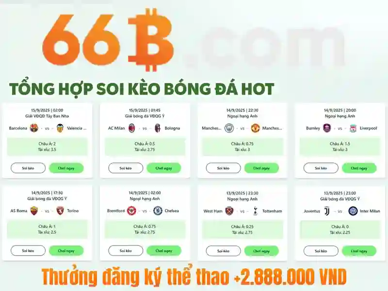  Trải Nghiệm Cá Cược - 66B